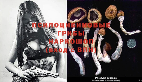 дживик Алексеевка