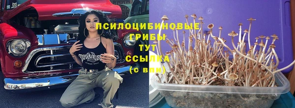 скорость Алексин