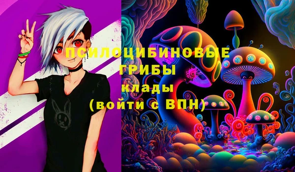 скорость Алзамай