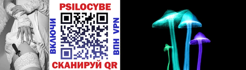 где купить наркотик Мышкин darknet клад Галлюциногенные грибы Psilocybine cubensis